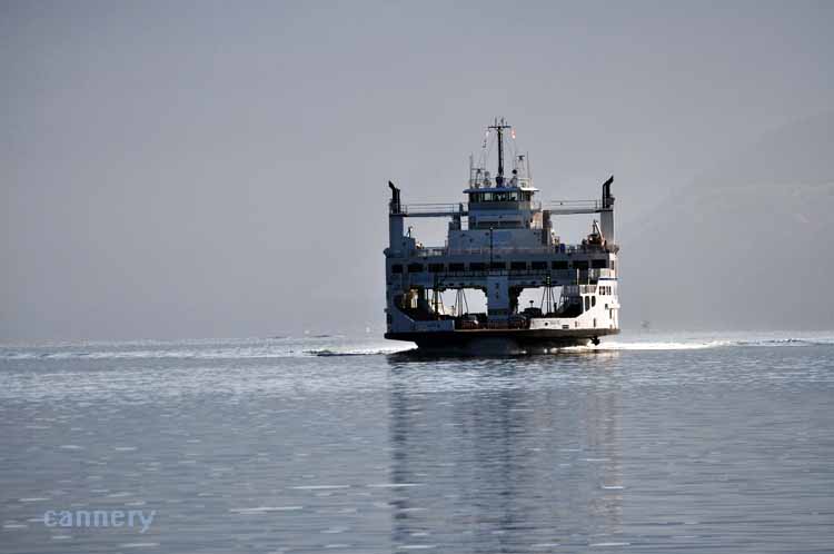 approaching ferry